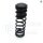 Original VW Drehstromgenerator Spannfeder LiMa